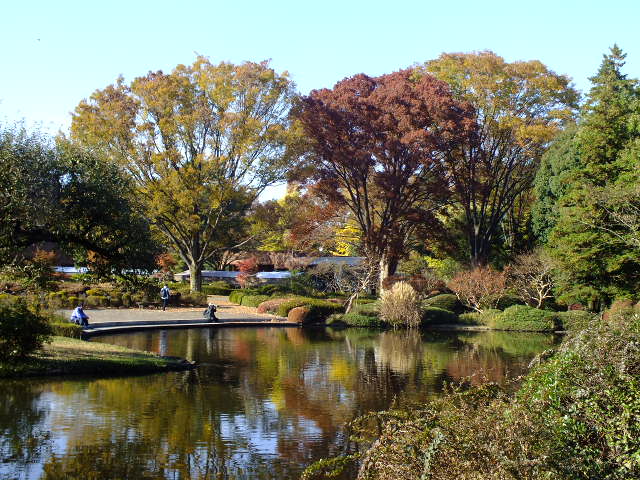 e0145782_17314255.jpg