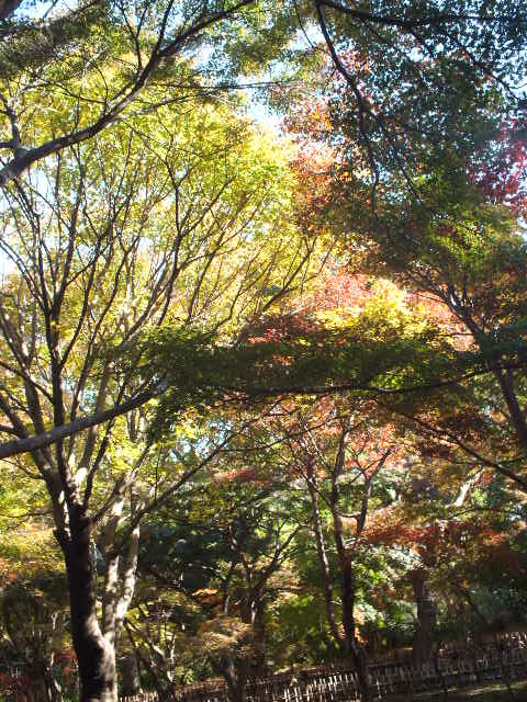 e0145782_17353021.jpg
