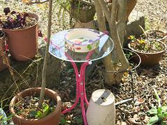 e0130185_20105648.jpg