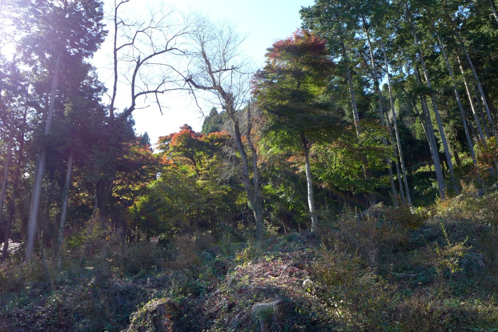 a0127090_23293913.jpg