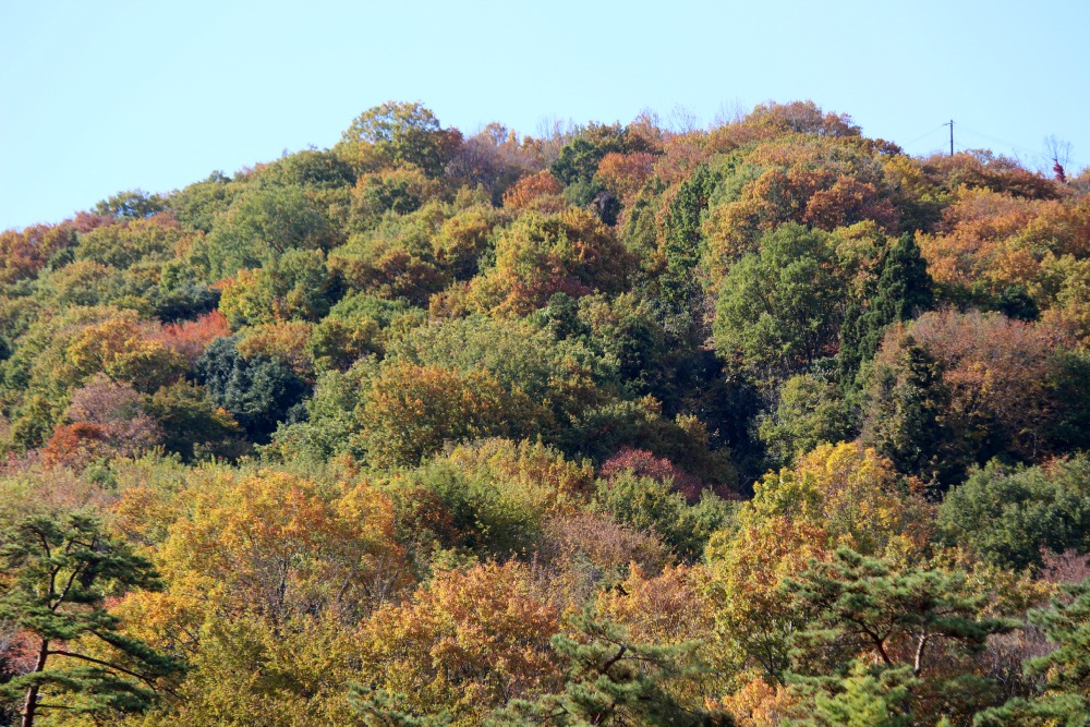 a0127090_2333127.jpg