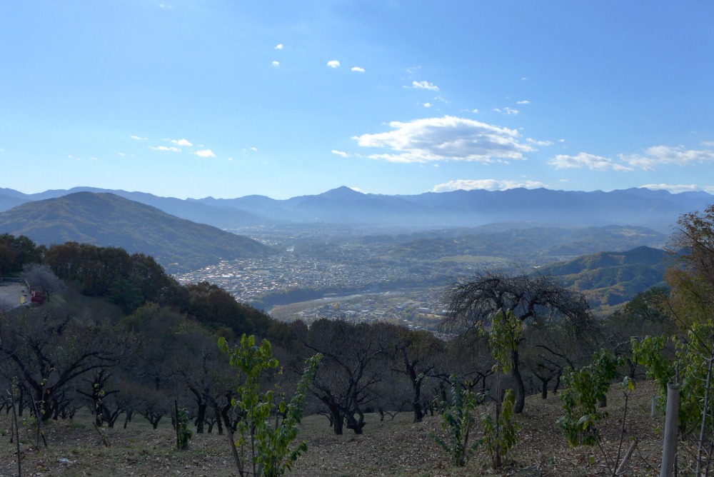 a0127090_9181529.jpg