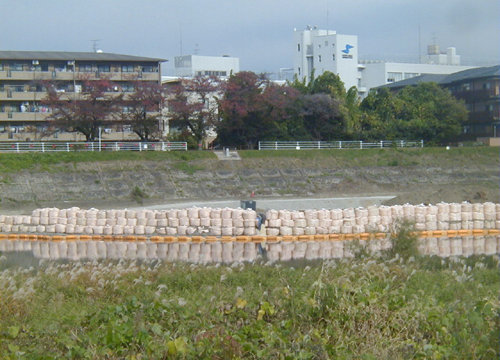 d0053294_223882.jpg