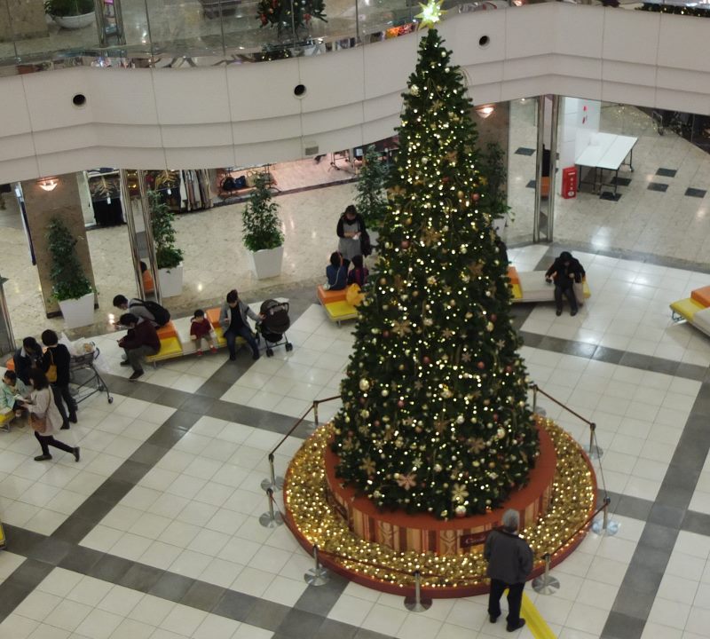 b0212396_22482231.jpg