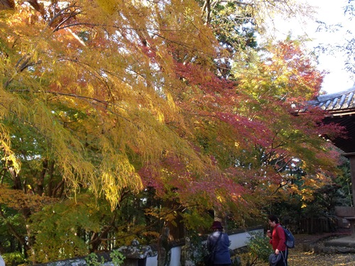 c0017802_17515564.jpg