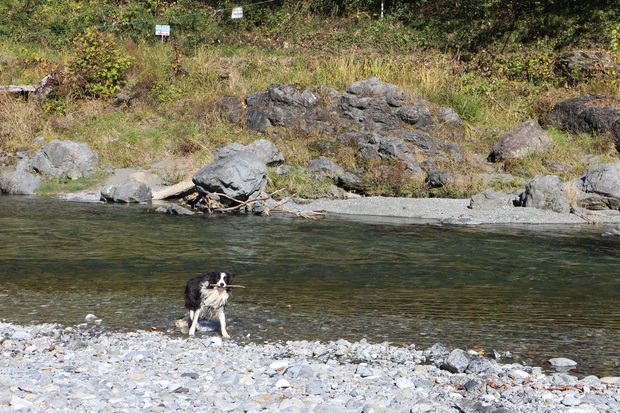 f0034602_2001341.jpg