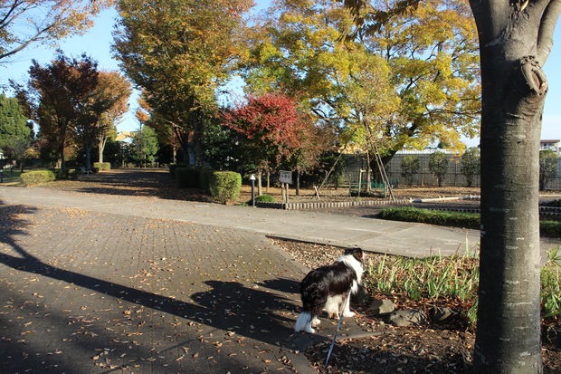f0034602_20104399.jpg