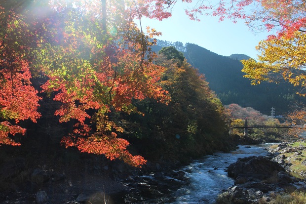 f0034602_2052478.jpg