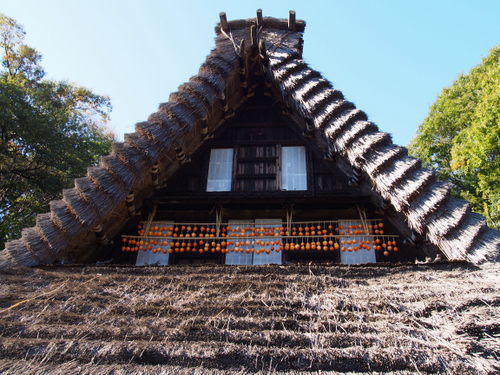 d0171803_1652184.jpg