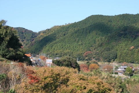 d0227308_1424785.jpg