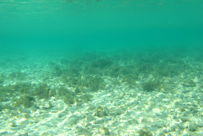d0298808_10534137.jpg