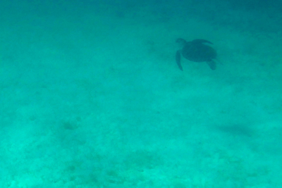d0298808_105427.jpg