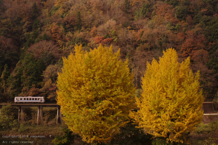 d0309612_2351359.jpg