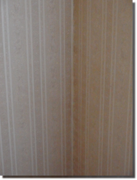 a0114514_22211081.png
