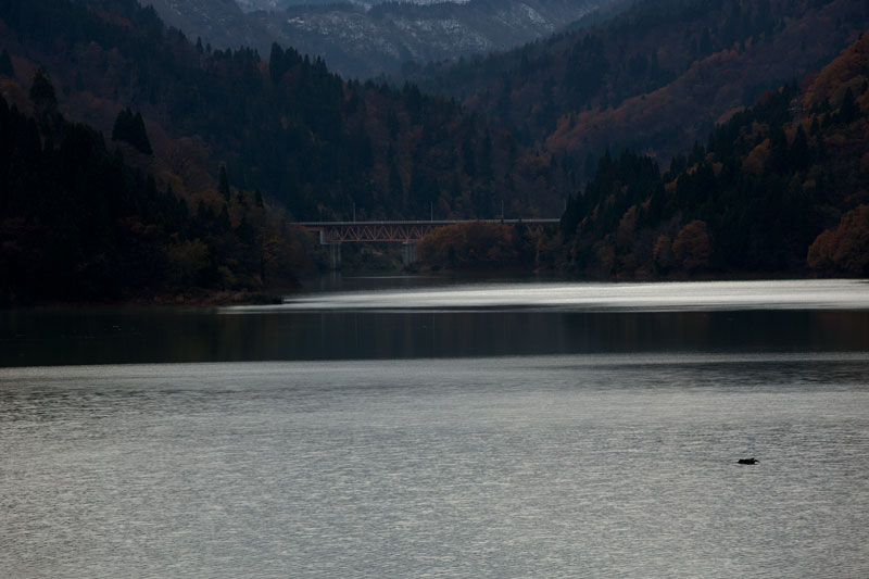 a0278914_7544621.jpg