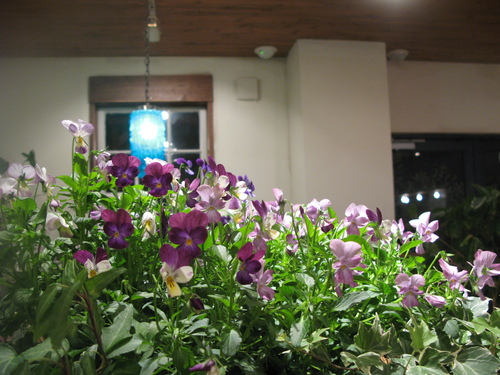 b0103915_2245279.jpg