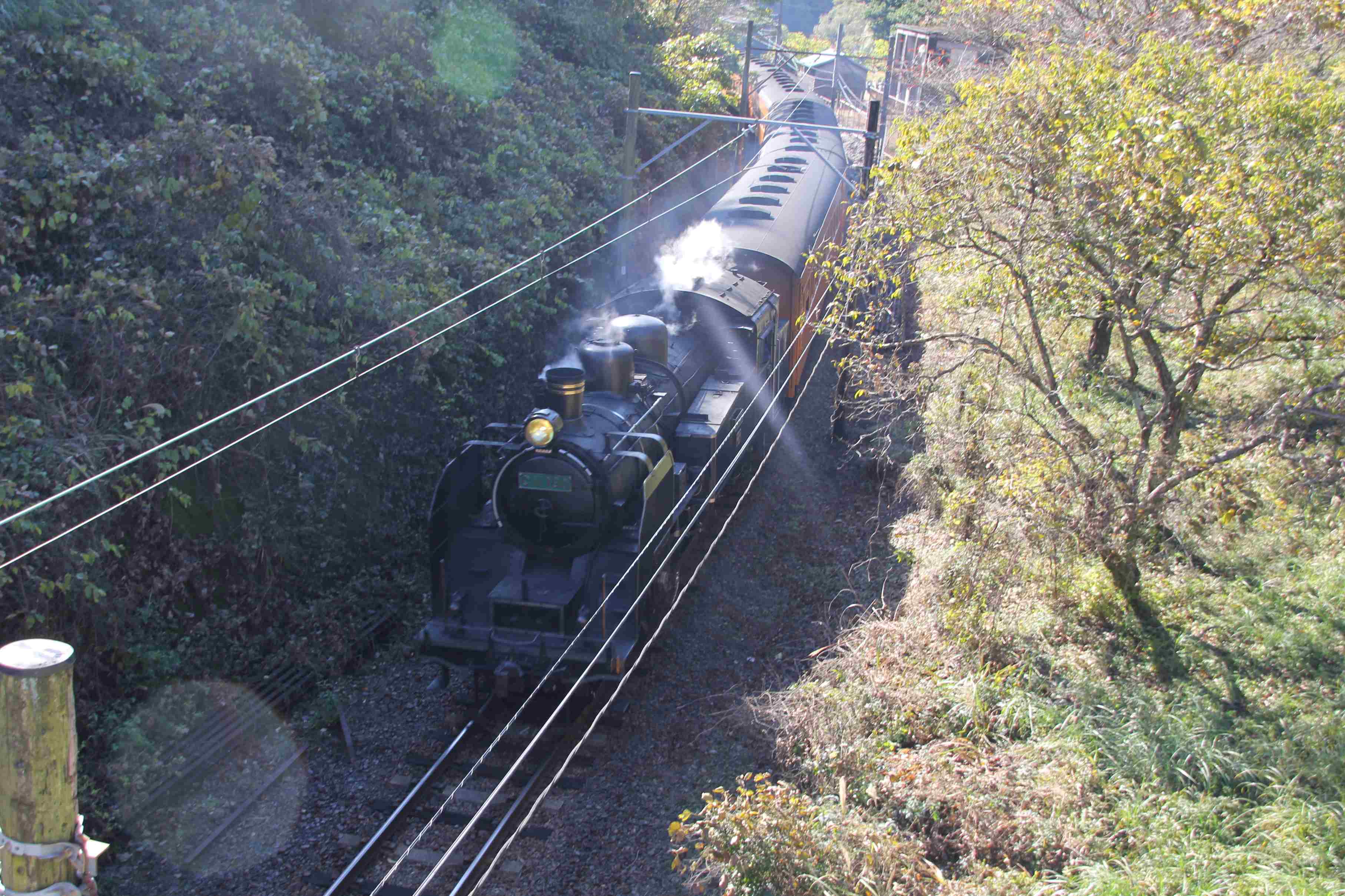 f0186021_18574437.jpg