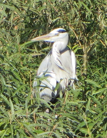c0280322_00072462.jpg