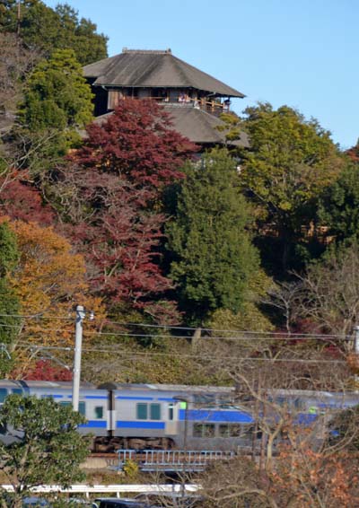 f0147025_8152547.jpg