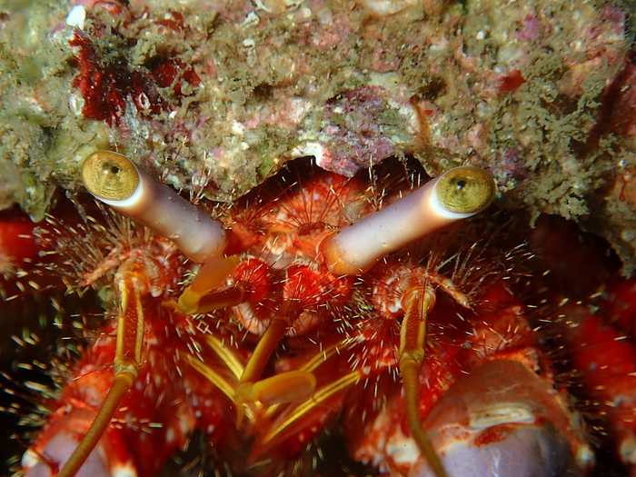 c0034029_1384848.jpg