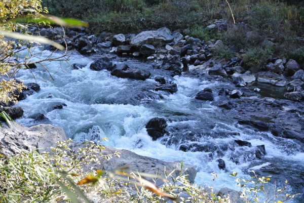 b0312230_22151232.jpg