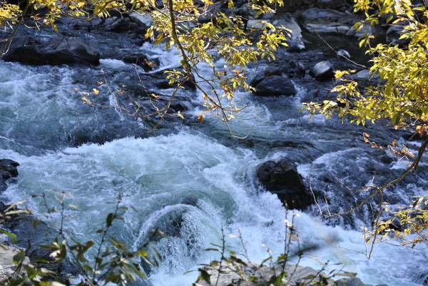 b0312230_22152815.jpg