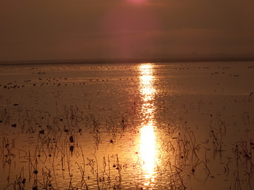 f0118332_00221481.jpg