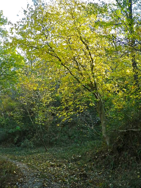 b0027736_1834564.jpg