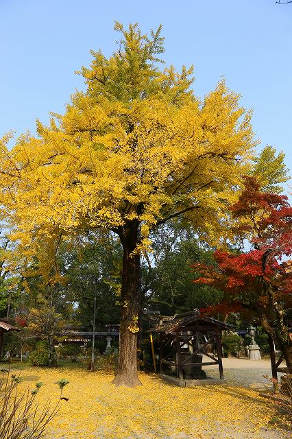a0242438_1937192.jpg