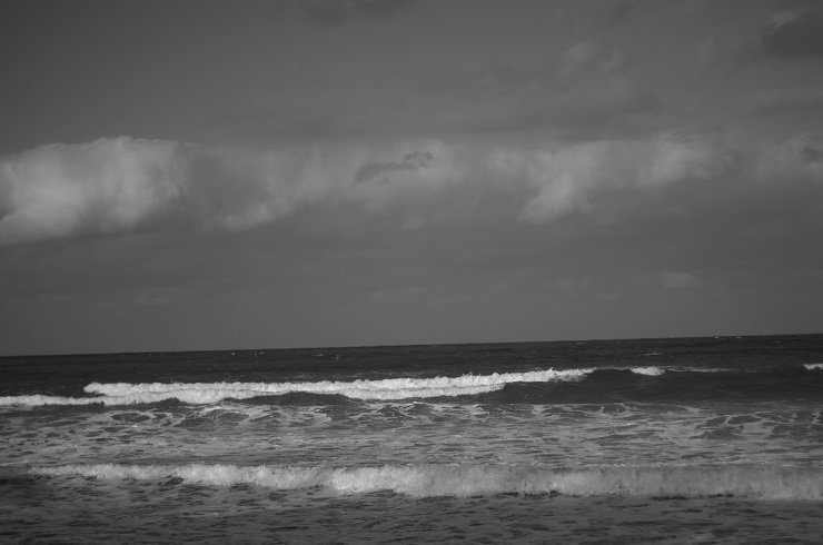 d0165741_20565415.jpg