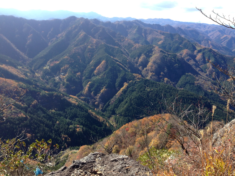 b0190242_14461939.jpg