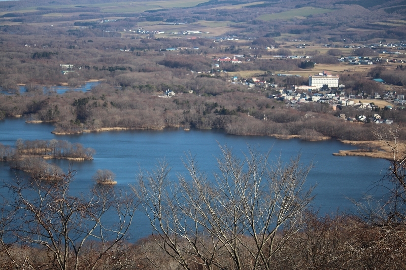 b0250154_15390465.jpg