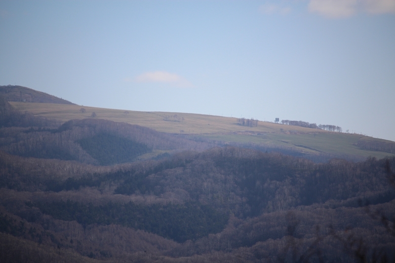 b0250154_20253401.jpg