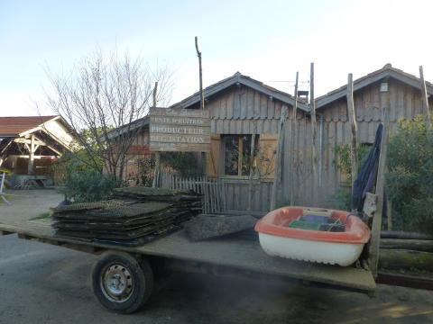 b0296855_21245660.jpg