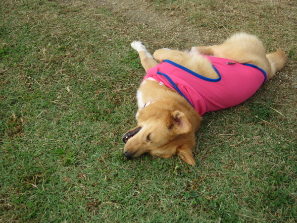 e0200357_00373969.jpg