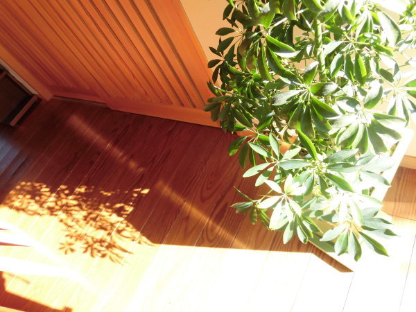 c0324959_12082654.jpg