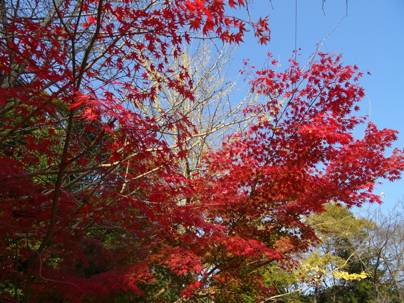 c0108460_18192240.jpg