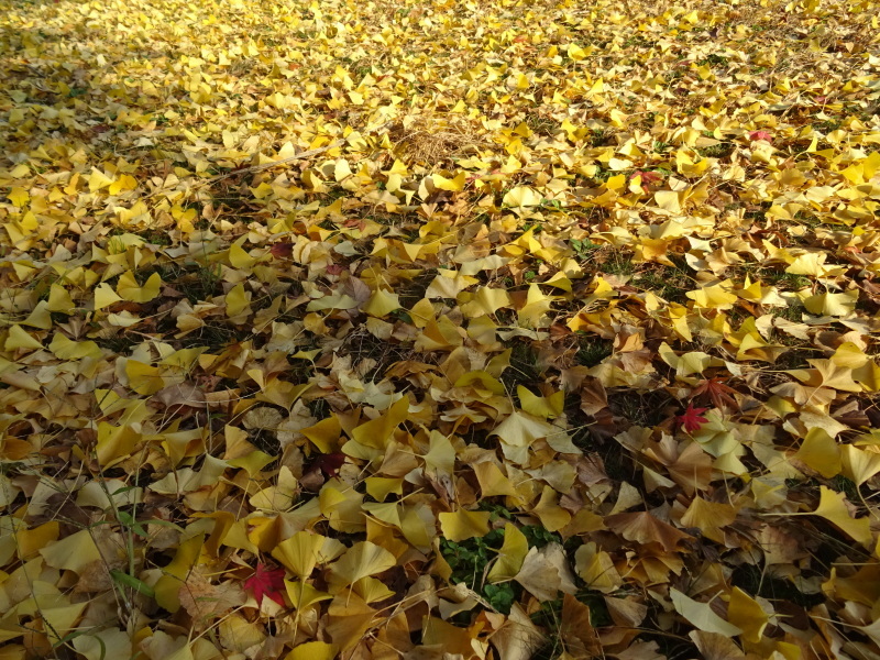 c0108460_18192312.jpg
