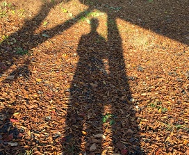 f0221360_14291174.jpg