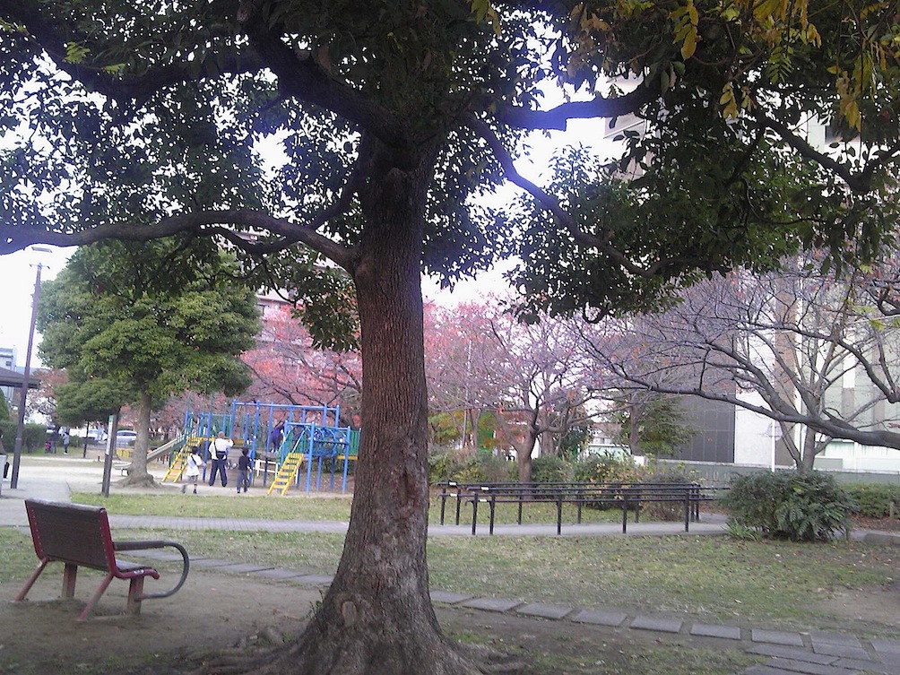 c0077465_16343067.jpg