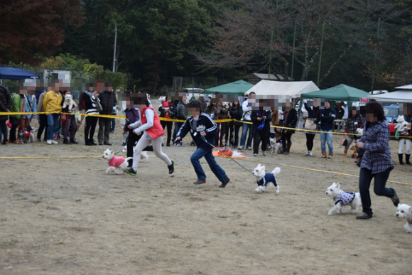 b0242873_02090265.png