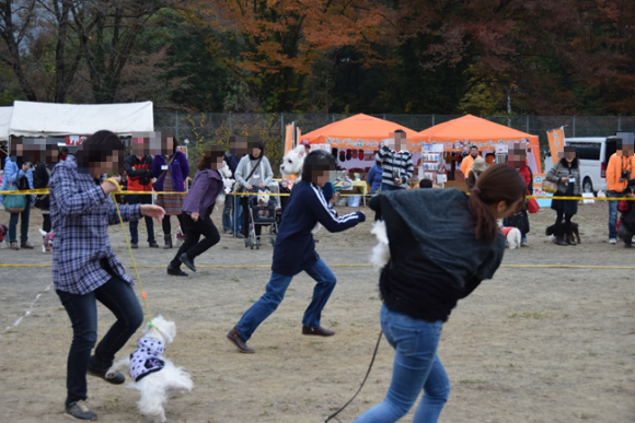 b0242873_02133153.png