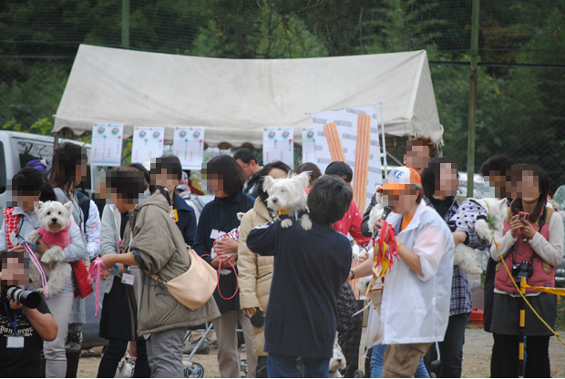 b0242873_08551513.png