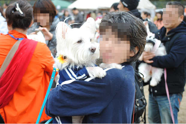 b0242873_08592009.png