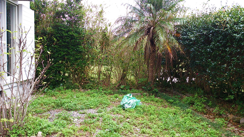 b0240382_18355732.jpg