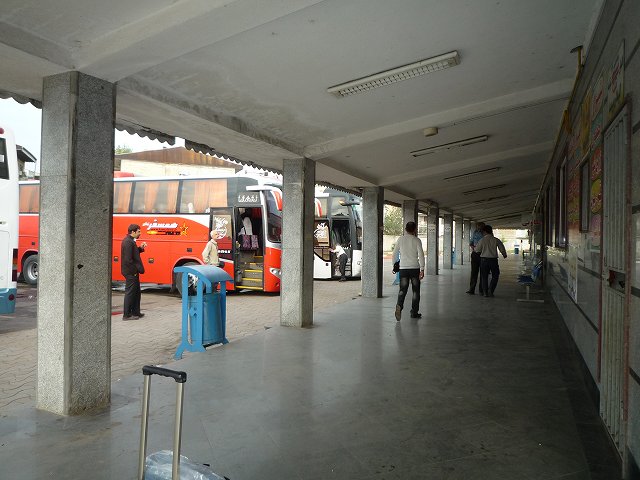 b0287088_20241024.jpg