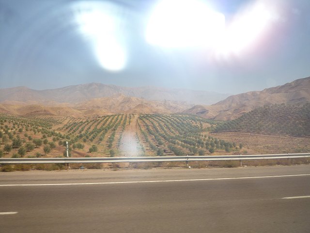 b0287088_20402864.jpg