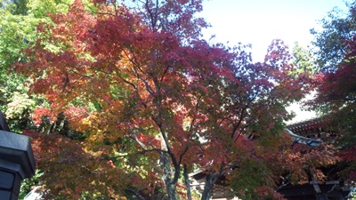 c0219090_11142982.jpg