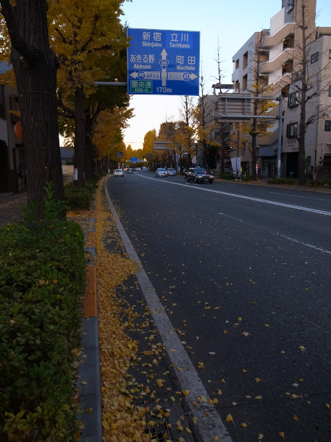 d0081997_16363715.jpg