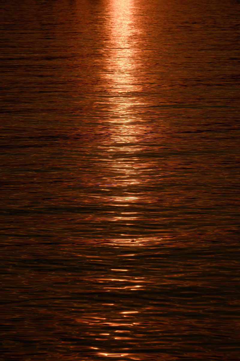 d0200900_239591.jpg